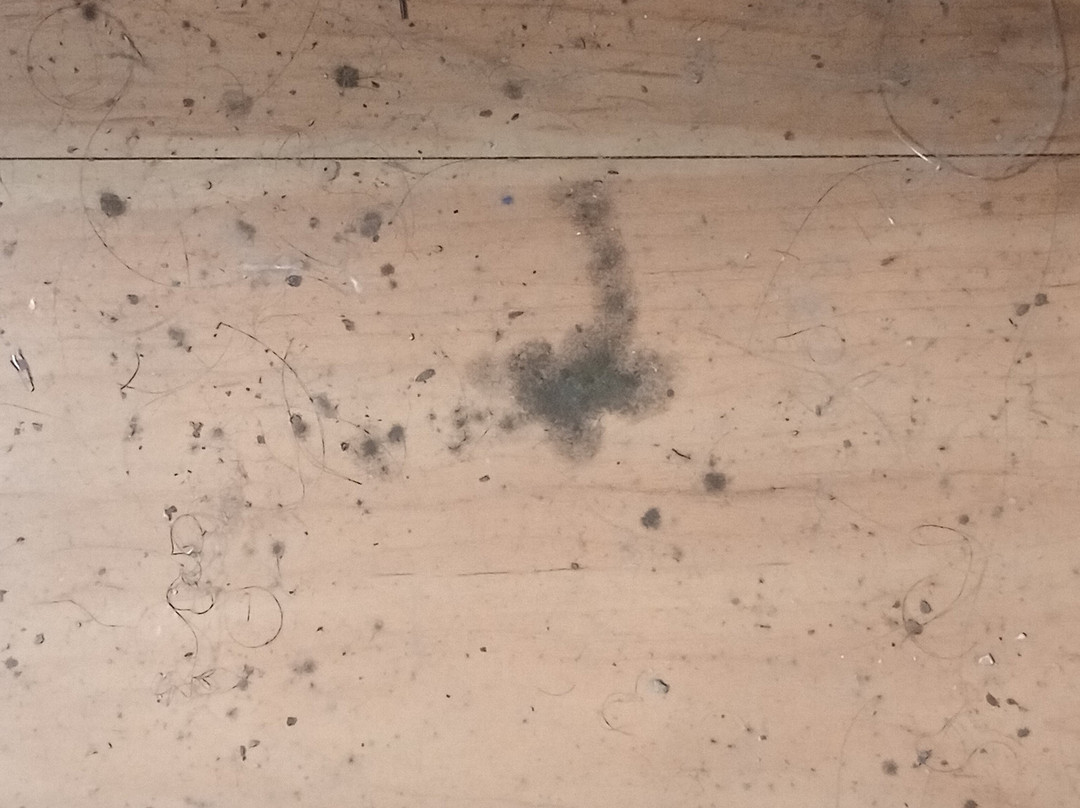 Red Roof Inn Bay Minette主图