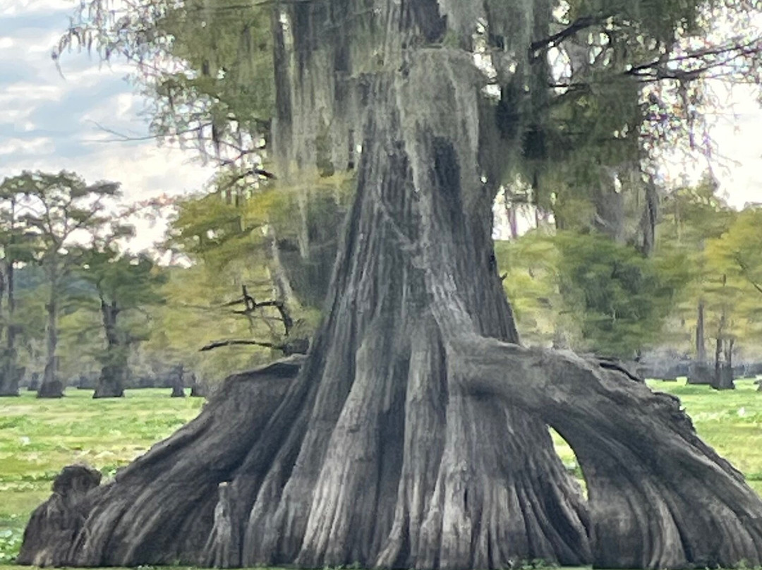 Billy Carter's Go-Devil Tours-Uncertain必去景点