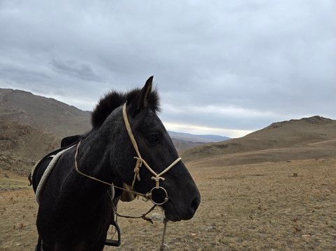 Horse Treks Mongolia-乌兰巴托必去景点