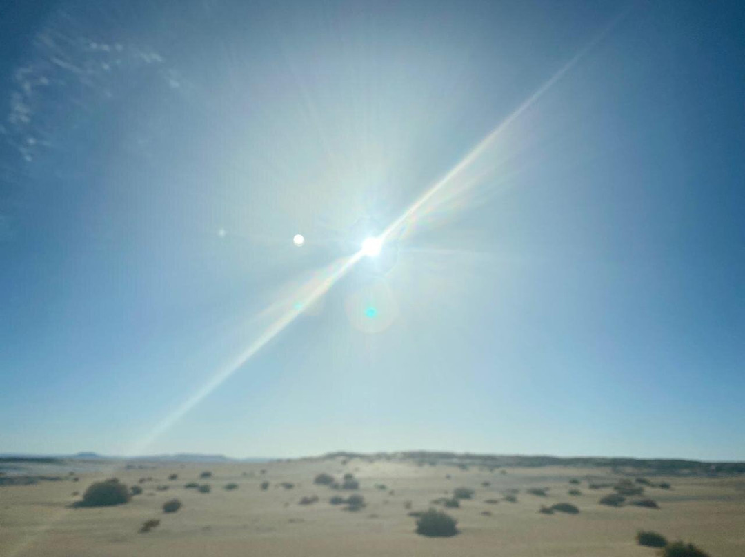 Desert Base-Bahariya Oasis必去景点