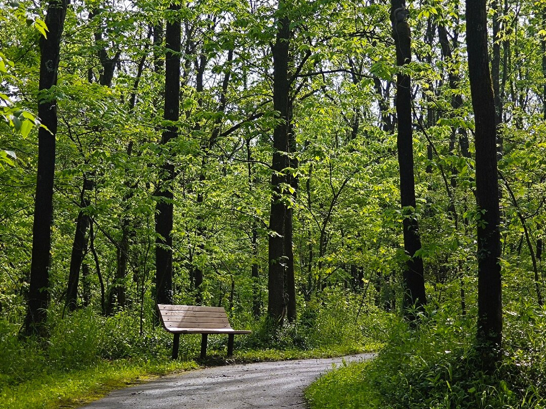 McConnell Springs-列克星敦必去景点