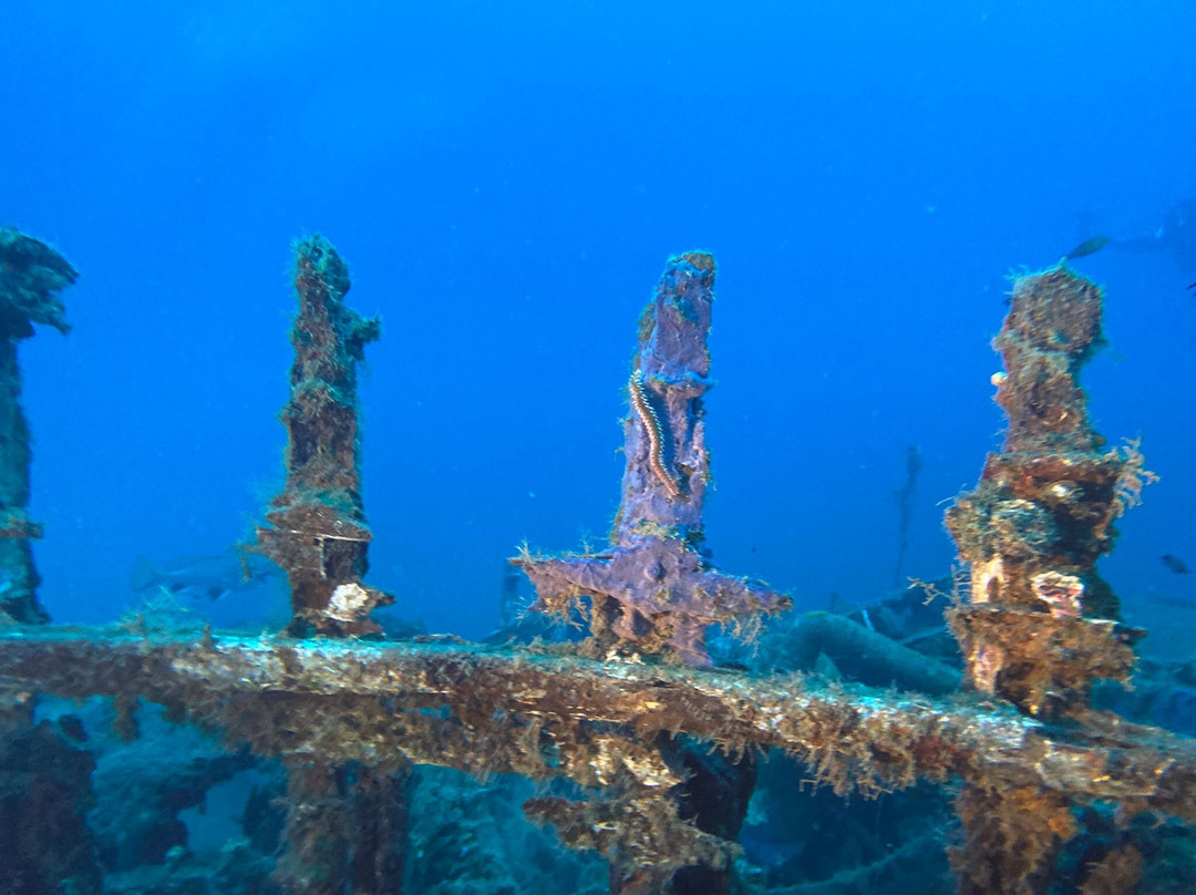 Dive Easy-Acharavi必去景点