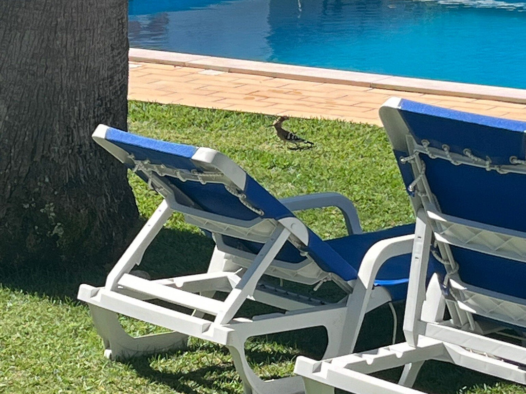 Praia da Lota Resort主图