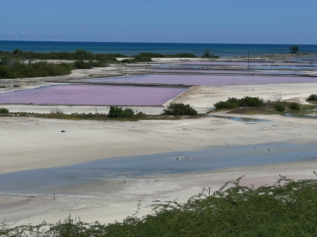 Salt Flats and Wildlife Refuge-Cabo Rojo必去景点