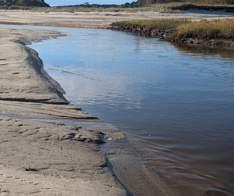 Paine's Creek Beach景点图片