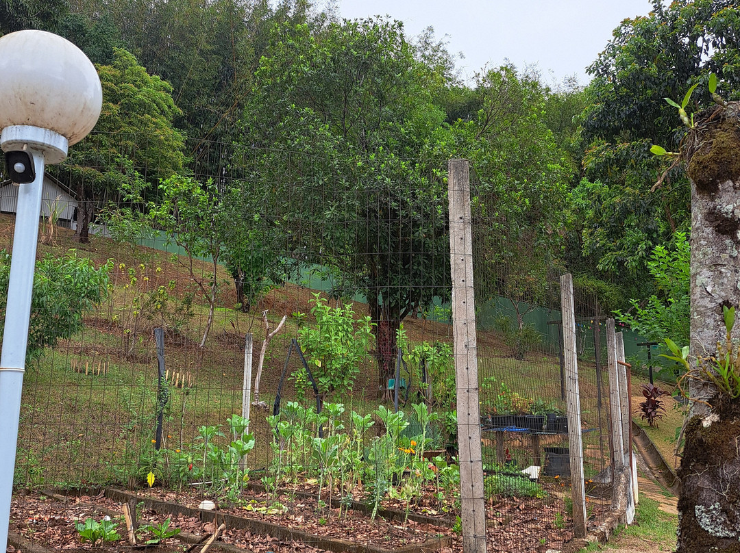 Pousada da Chácara主图