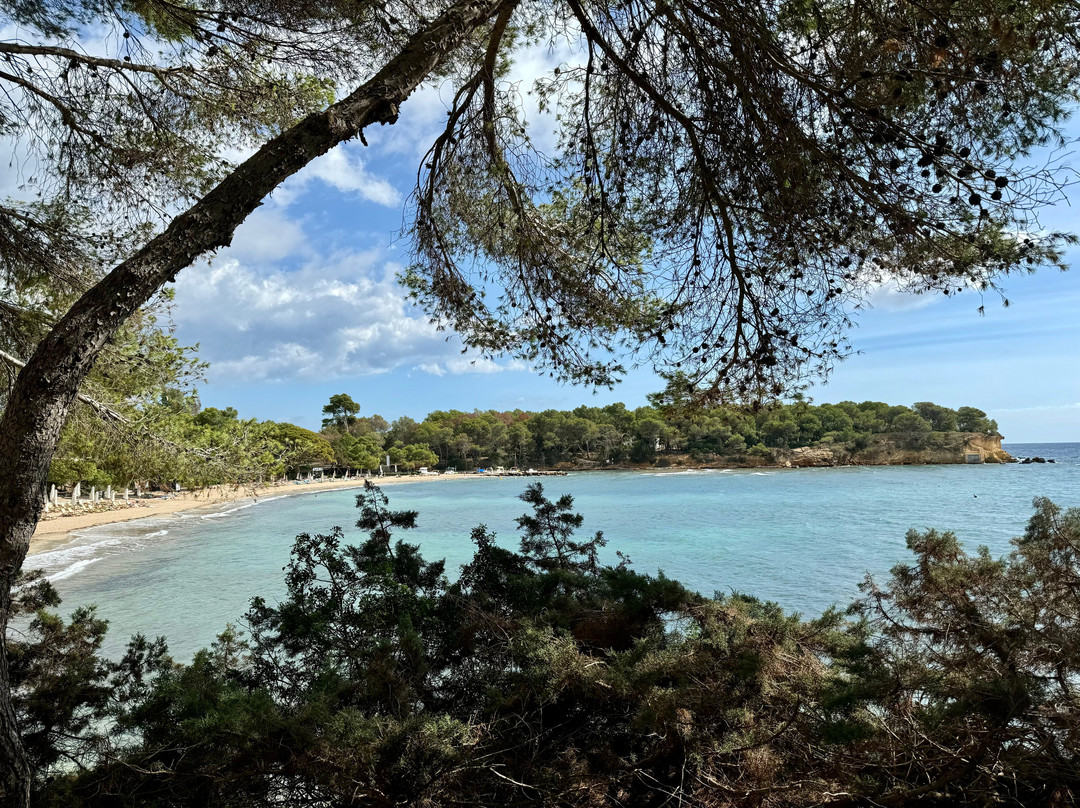 HASHA IBIZA-圣欧拉利娅尔德里奥必去景点