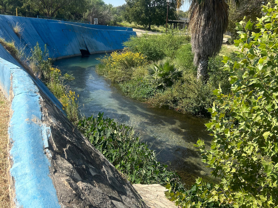 Moore Park Public Pool景点图片