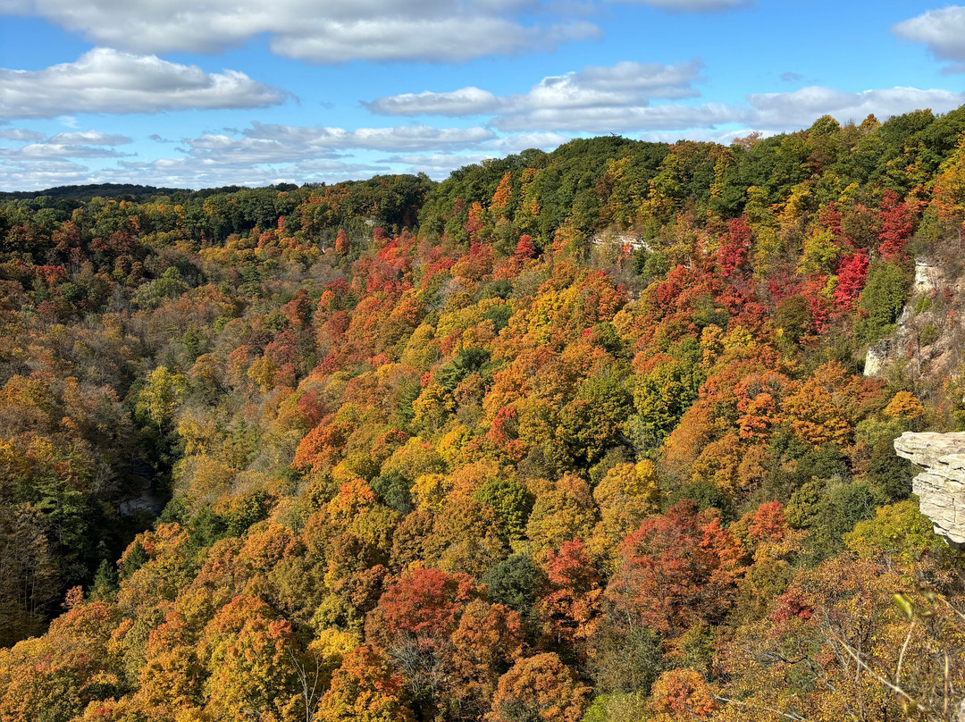 Spencer Gorge Conservation Area-邓达斯必去景点