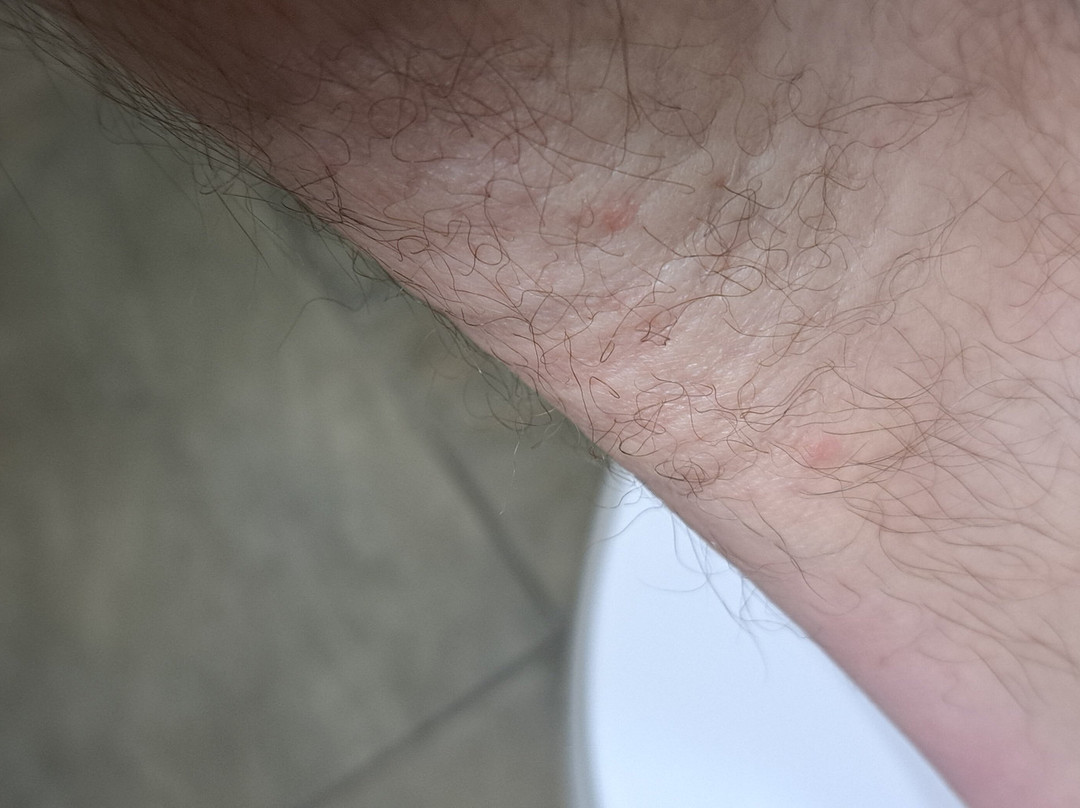 Gateway Park Hotel & Suites主图