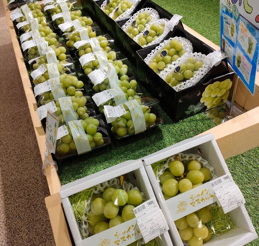 Michi-no-Eki Murayama-村山市必去景点