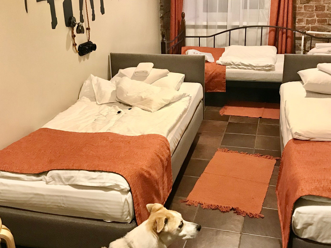 Kino Hostel on Vyborgskaya主图