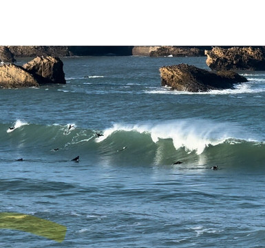 Homie Boards & Suits-比亚里茨必去景点