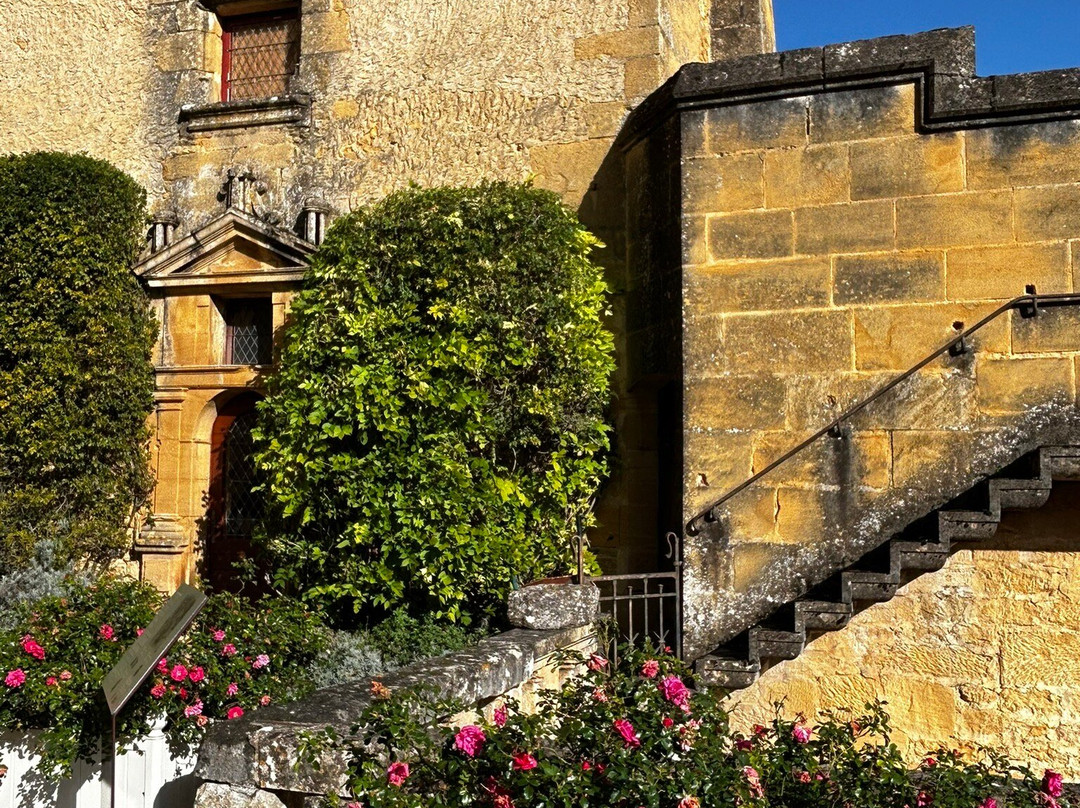 Chateau de Puymartin景点图片