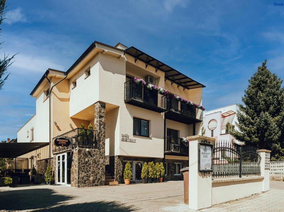 Kamenec pod Vtacnikom酒店住宿-Penzion Teddy