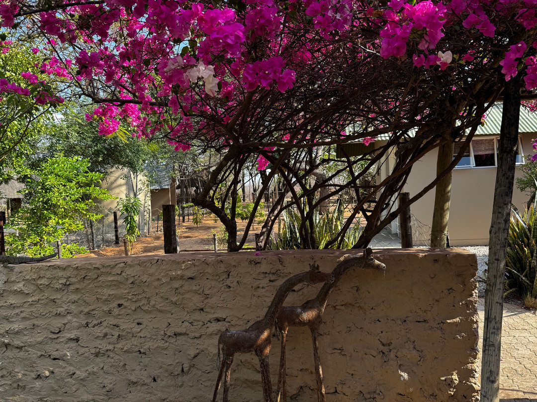 Wildacker Guestfarm主图