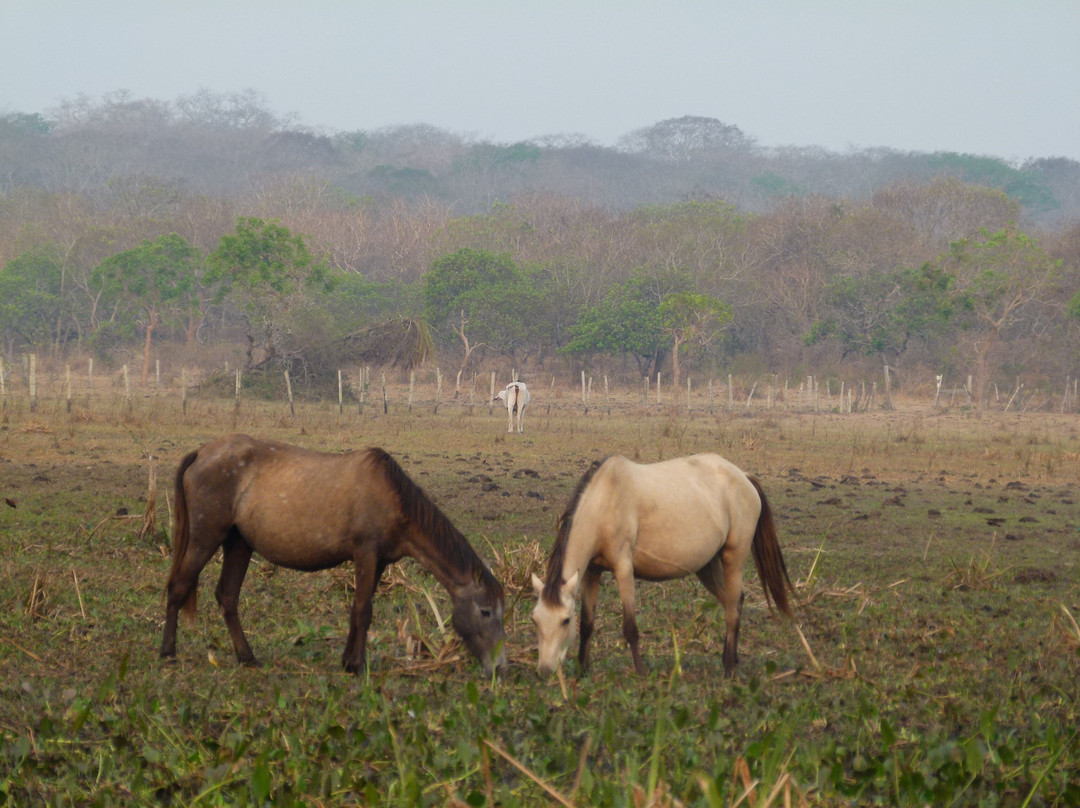 Finca Cacarachi-San Ignacio de Velasco必去景点