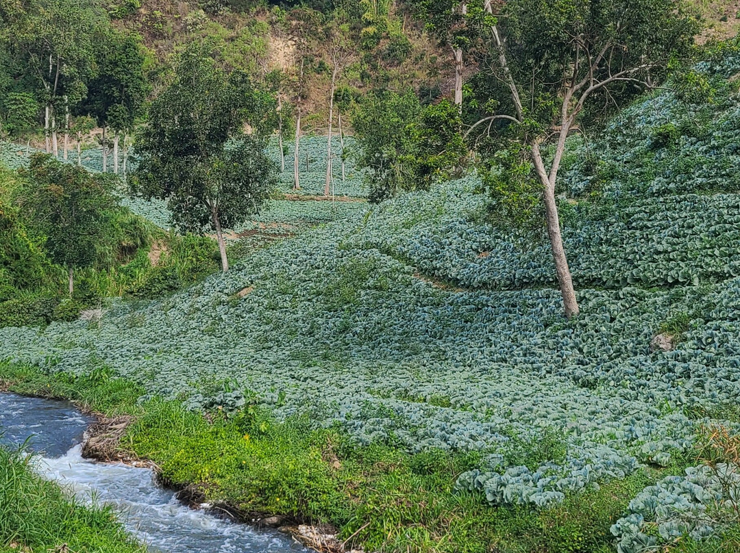 Blawan Waterfall景点图片
