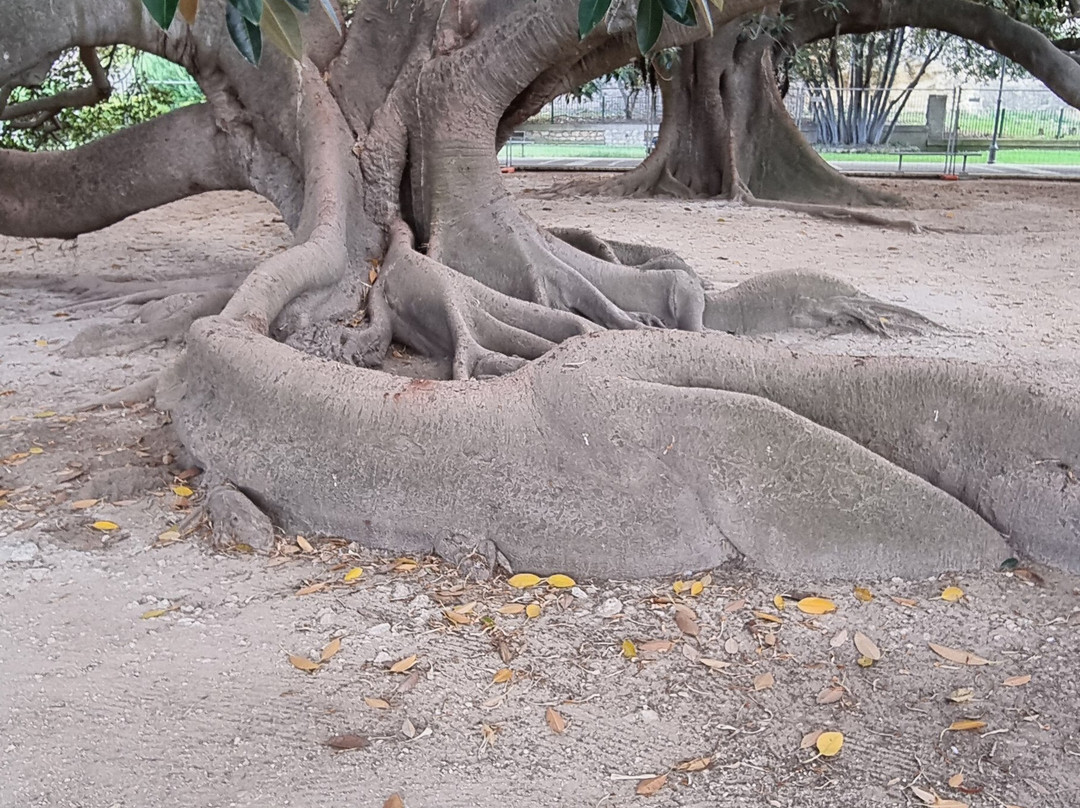 Giardini Pubblici Cagliari-卡利亚里省必去景点