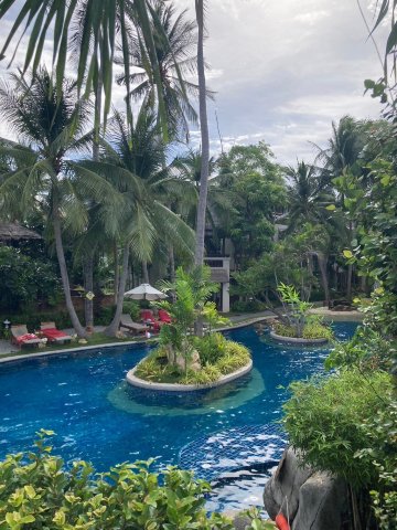 苏梅岛水疗度假村-泳池