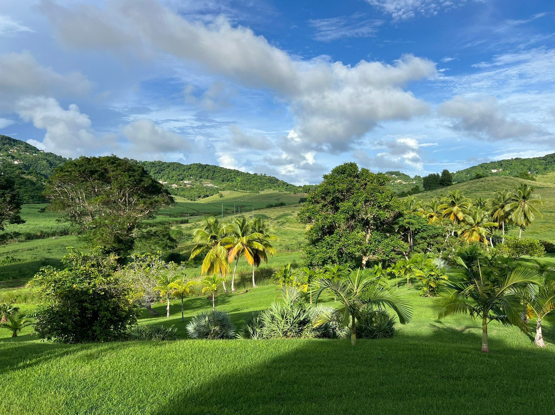 Distillerie BRAUD et QUENNESSON-Le Marin必去景点