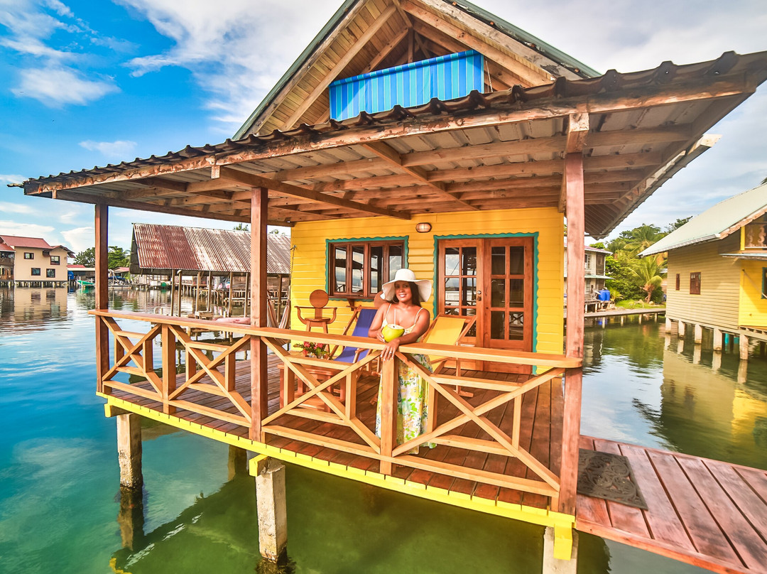 Koko Over The Water主图