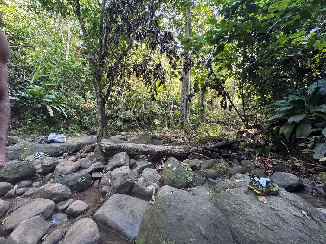 La Cascade de Bis-Sainte Rose必去景点
