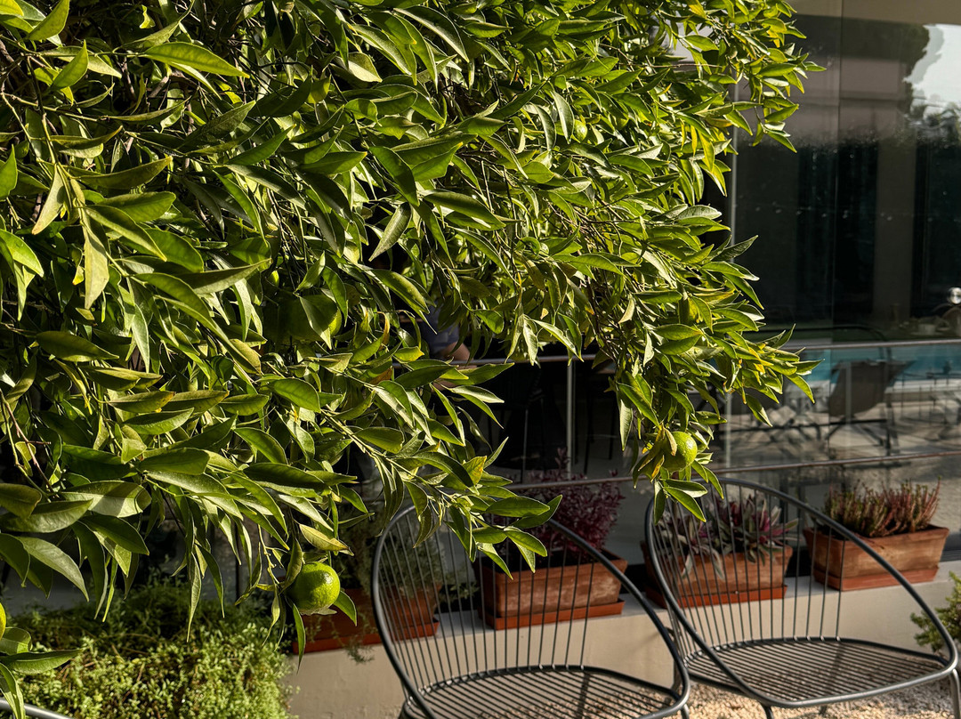 Domia Boutique Hotel Mondello主图