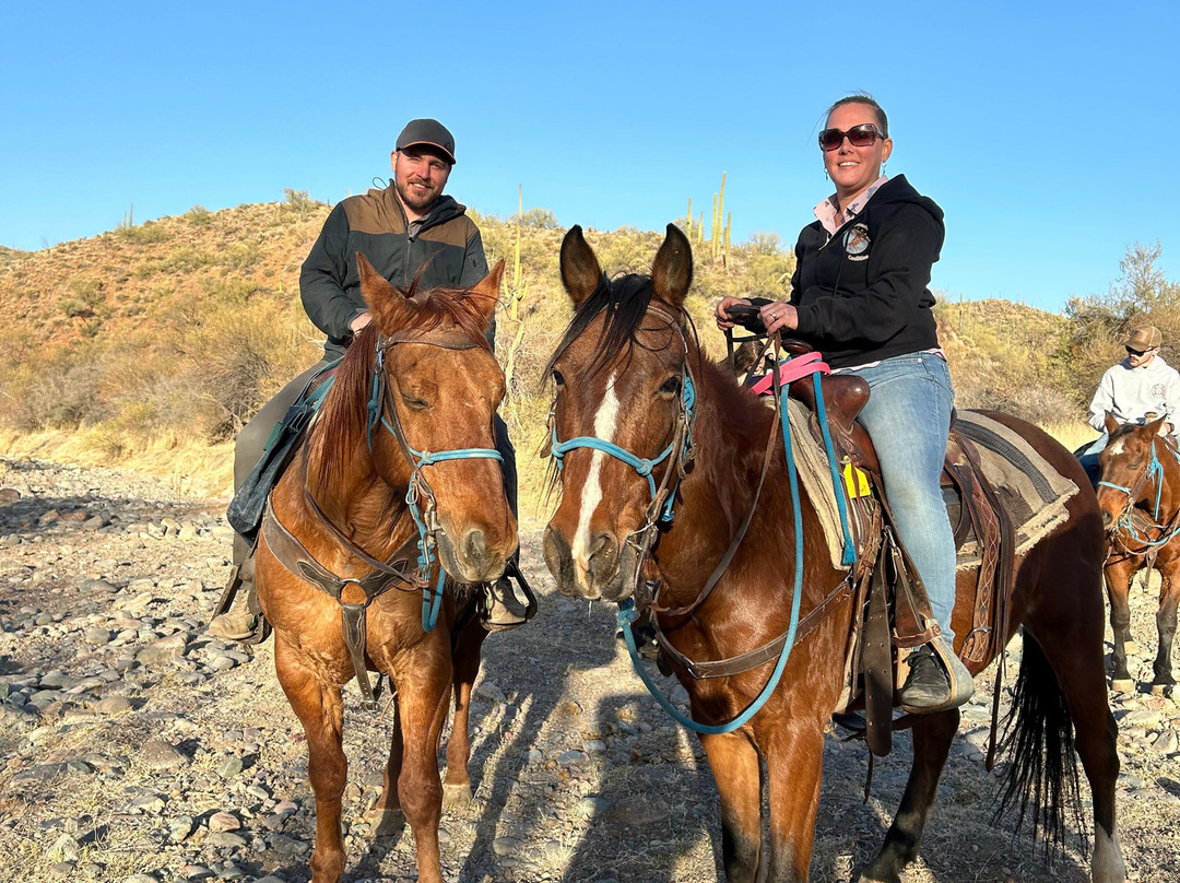 Arizona Horseback Adventures at Spur Cross-洞溪必去景点