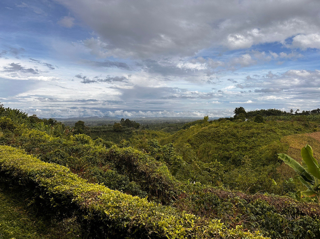 Hotel Bosques Del Samán - Alcalá主图