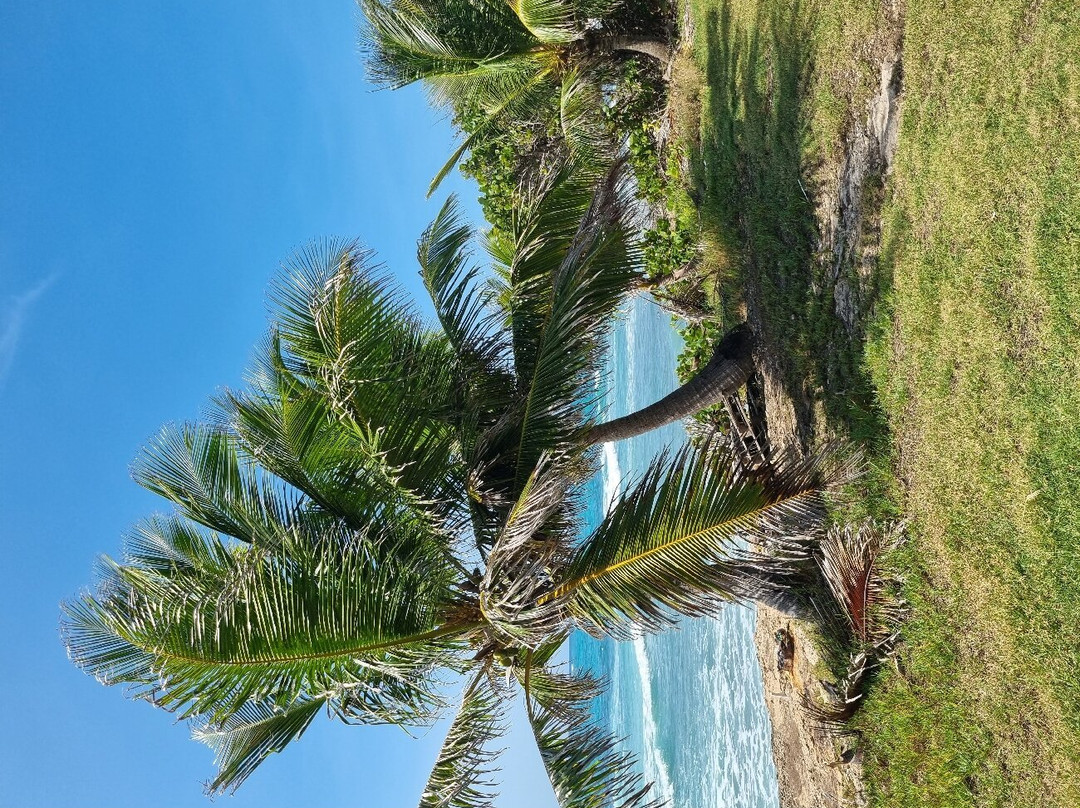 Inchcape Seaside Villas主图