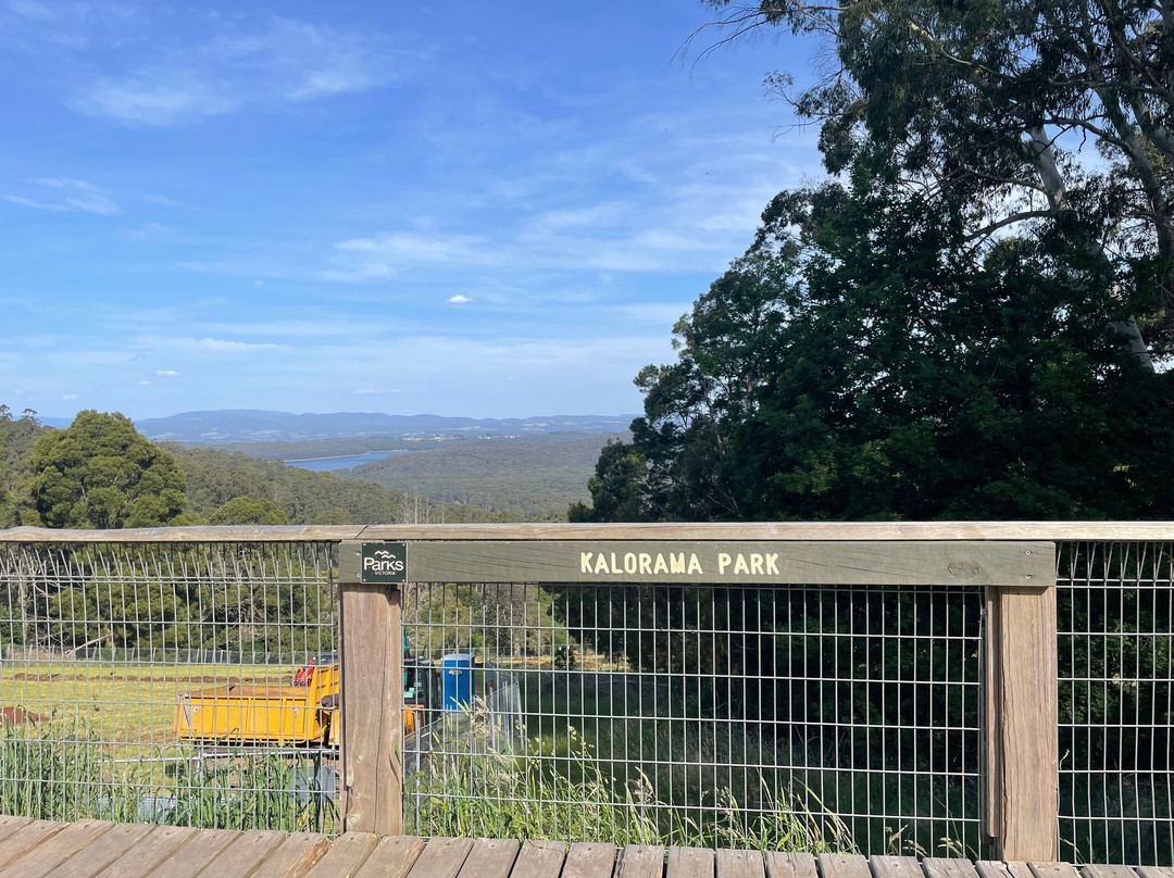 Kalorama Park Lookout-Kalorama必去景点