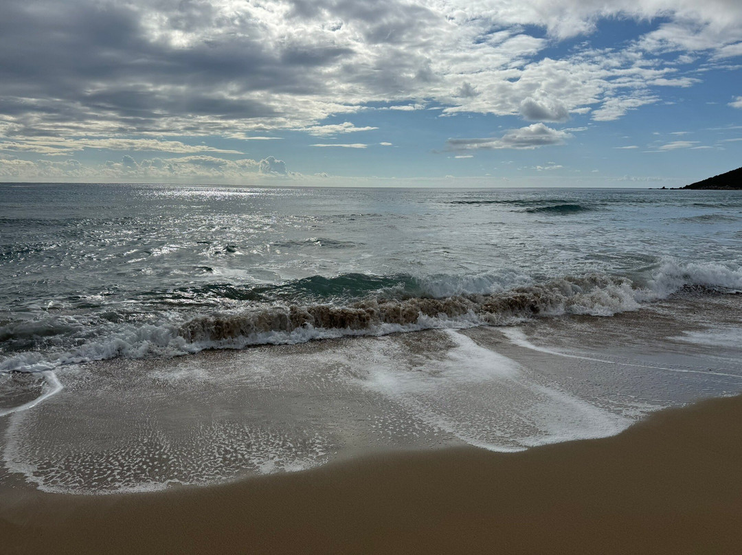 Altınkum Plajı-Dipkarpaz必去景点