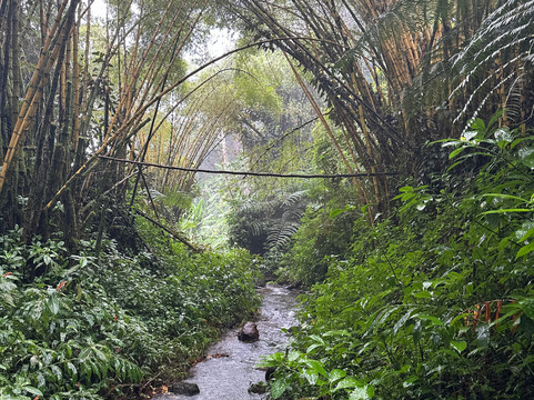 Aloha 'ike Tours-希洛必去景点