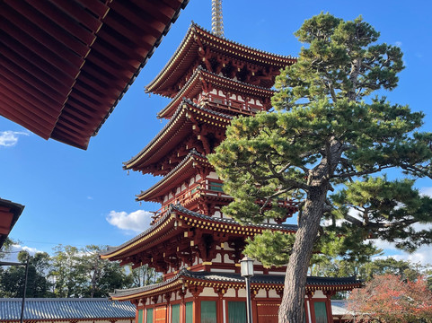 NARAWALK-奈良市必去景点