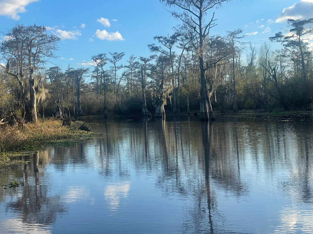 The Last Wilderness Swamp Tour景点图片