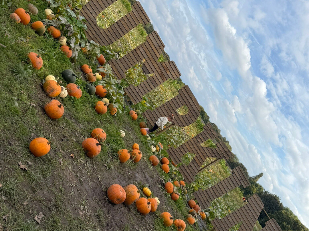 Kenyon Hall Farm景点图片