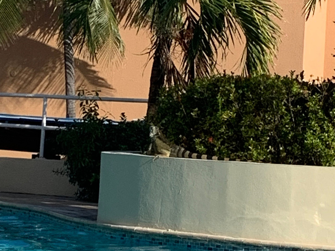 Divi Beach-Sint Maarten必去景点