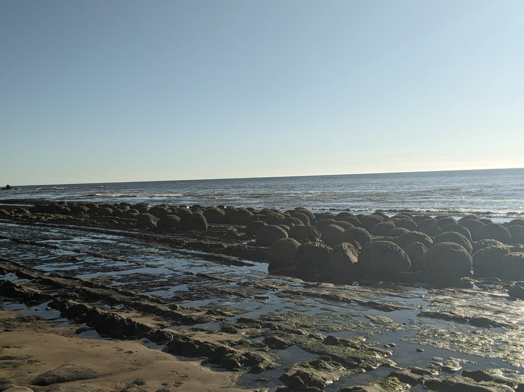 Schooner Gulch State Beach景点图片