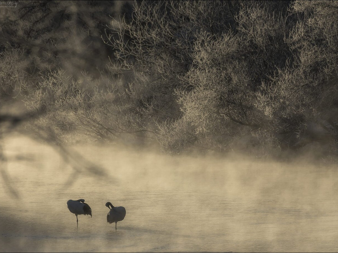 Otowa Bridge-鹤居村必去景点