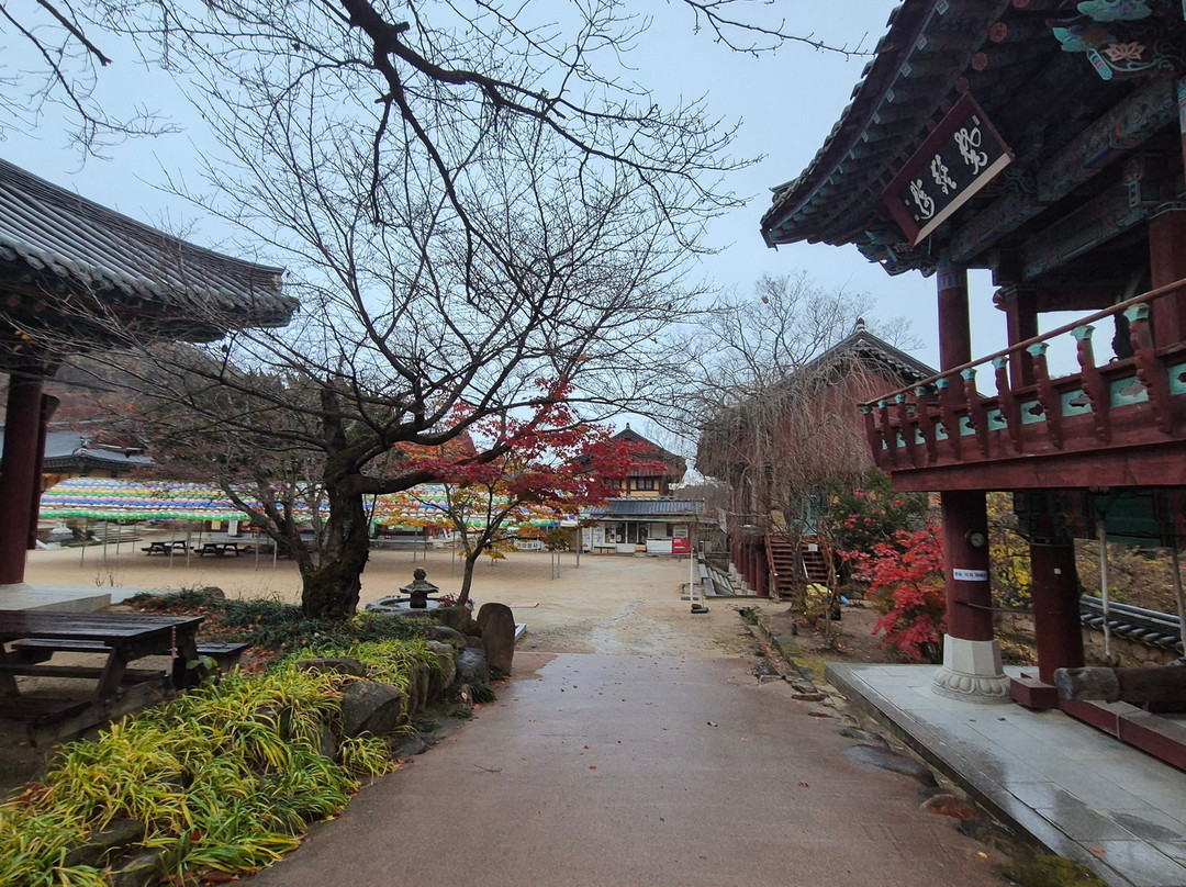 Eunhaesa Temple-永州市必去景点