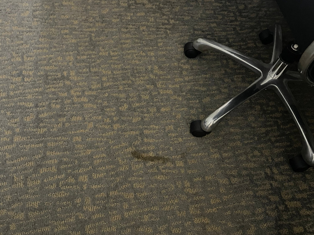 La Quinta Inn & Suites by Wyndham Jackson/Cape Girardeau主图