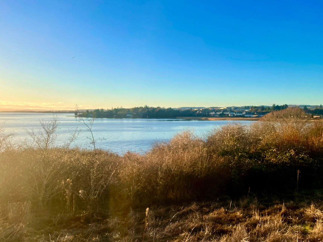 Riverside Nature Park-敦提必去景点