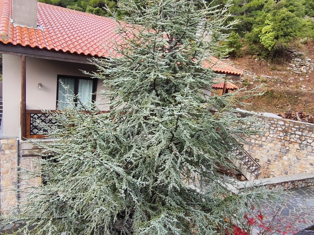 Vasiliki Guesthouse主图