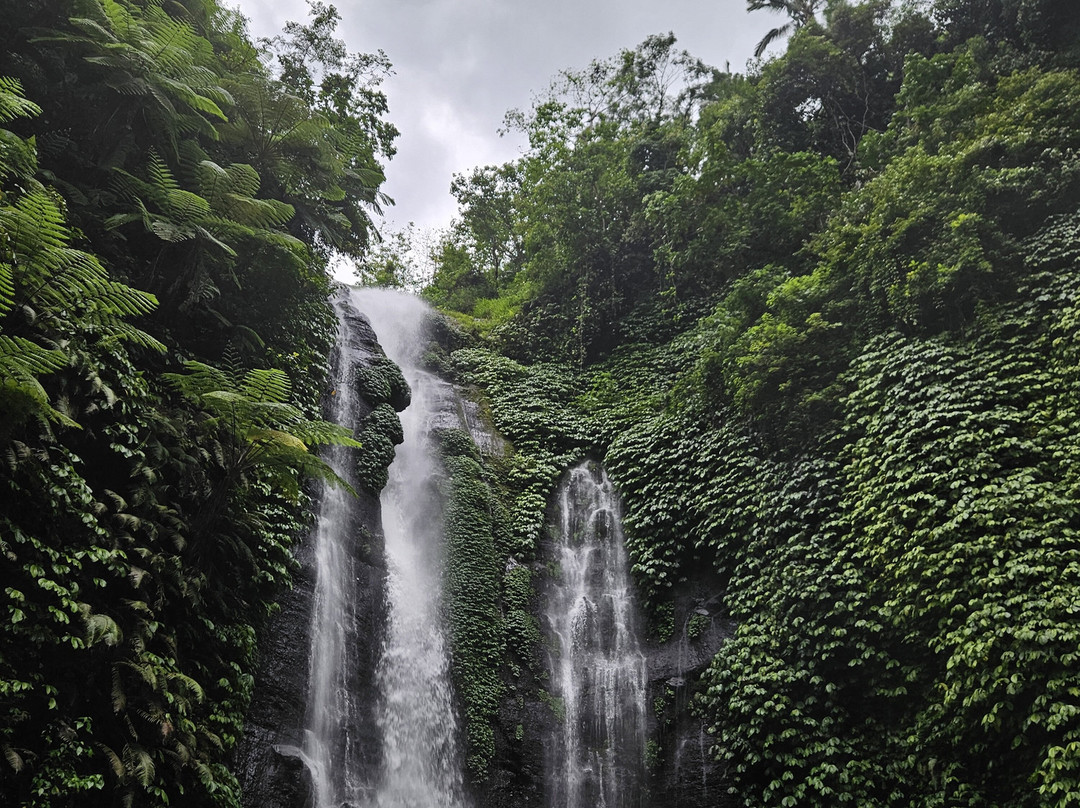 Bali and Car - Rent a car with driver-Dangin Puri必去景点