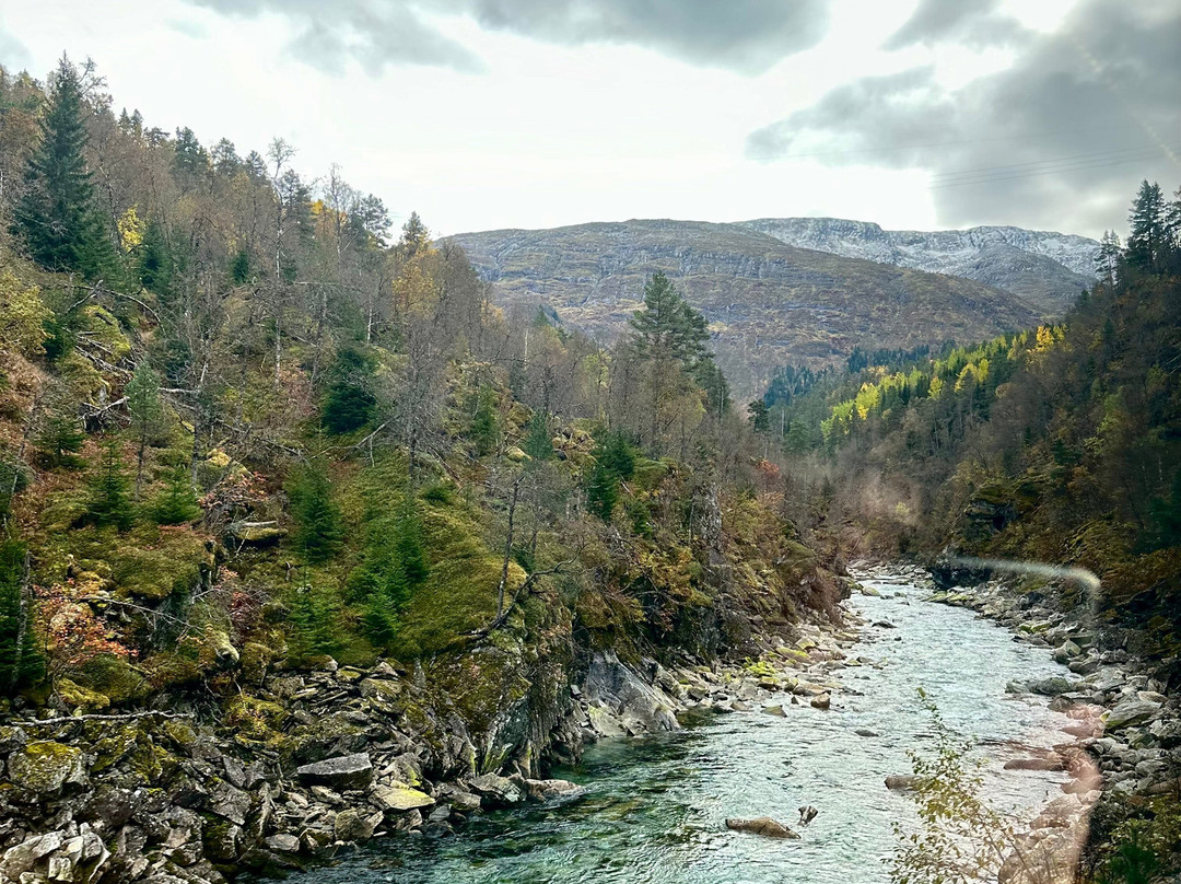 Bergen to Oslo Train Ride景点图片