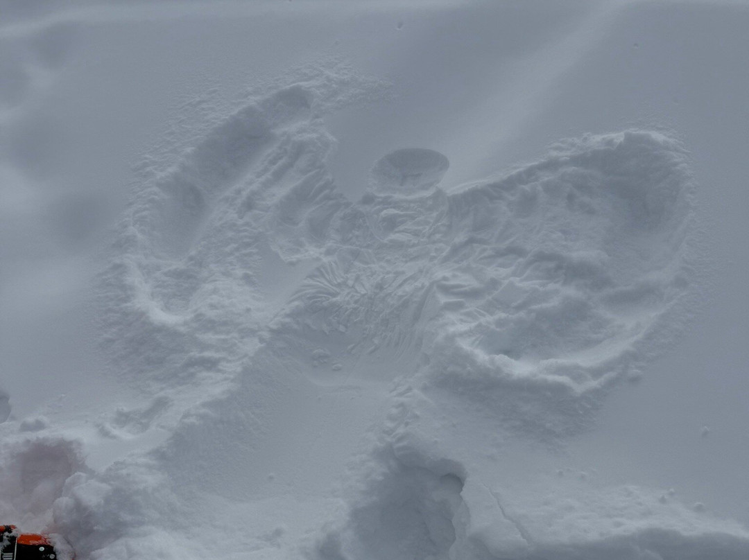 Ski Instructor Chamonix-莱苏什必去景点