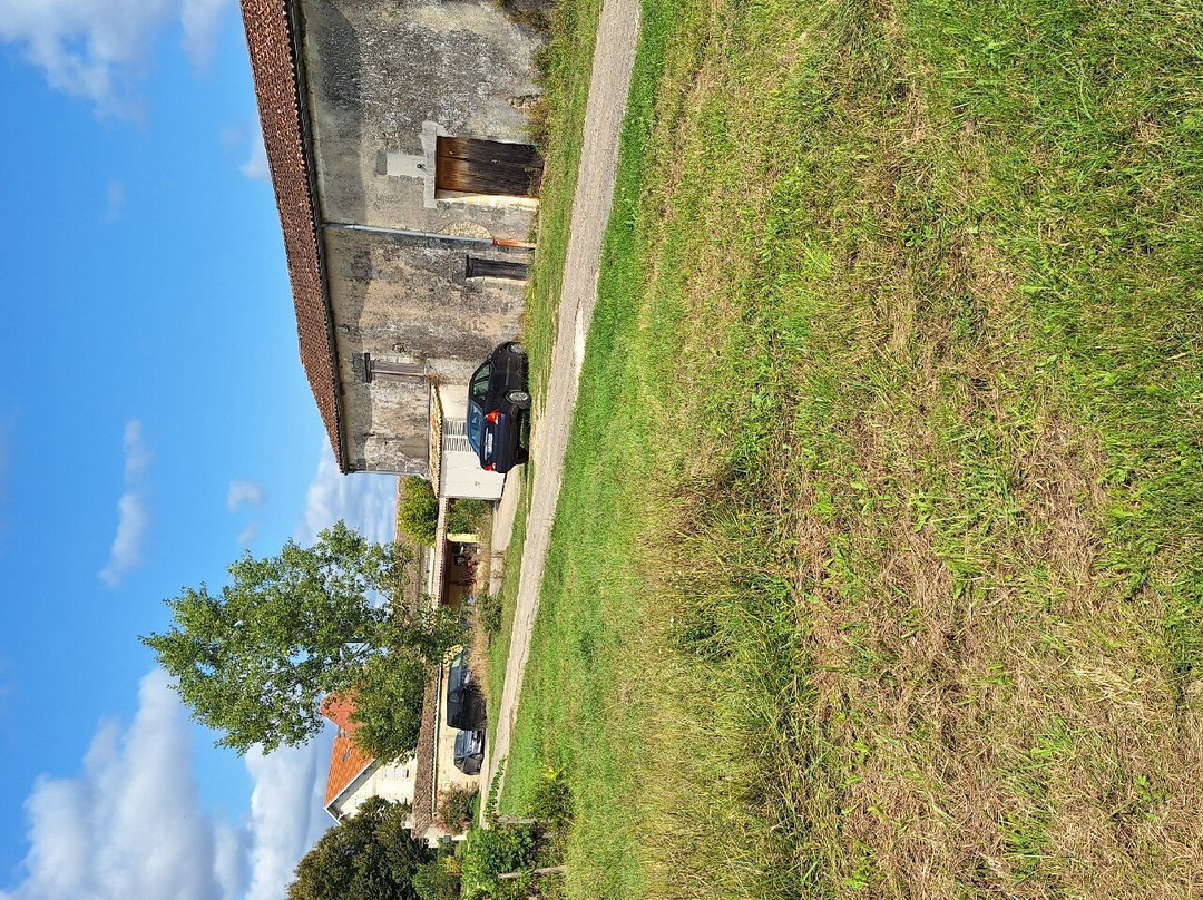 Château La Grande Clotte景点图片