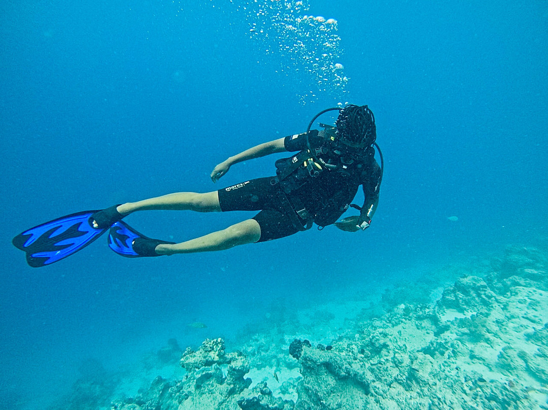 Eagle Ray Divers-Matemwe必去景点