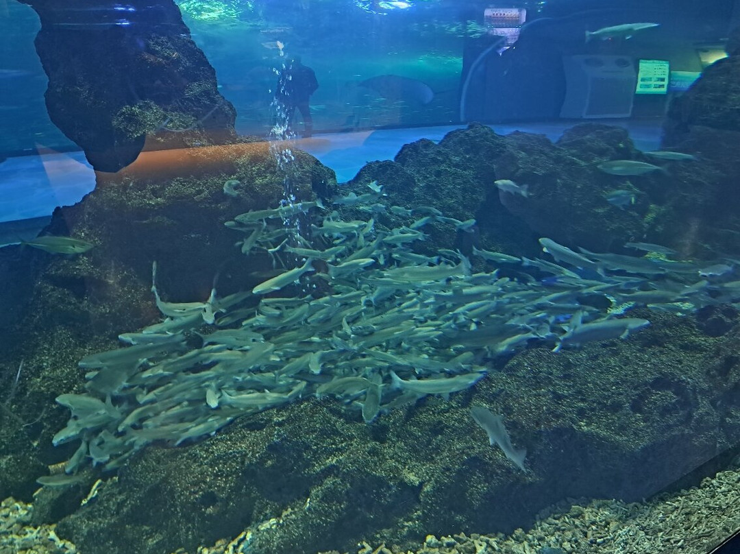水上星球济州-西归浦市必去景点